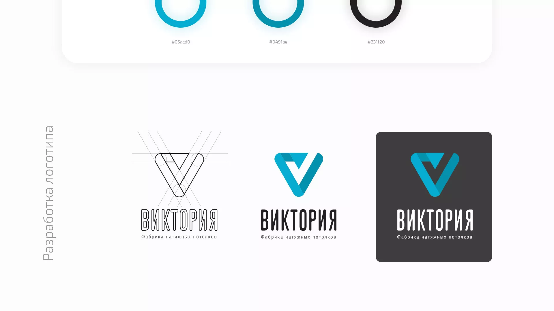 Разработка фирменного стиля компании по продаже и установке натяжных потолков в Пласте